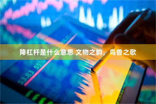 降杠杆是什么意思 文物之韵，鸟兽之歌