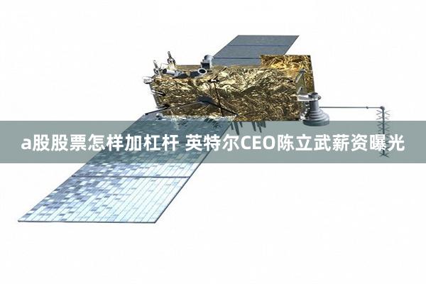 a股股票怎样加杠杆 英特尔CEO陈立武薪资曝光