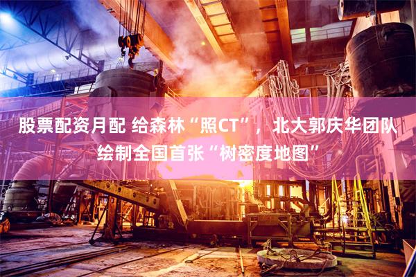 股票配资月配 给森林“照CT”，北大郭庆华团队绘制全国首张“树密度地图”