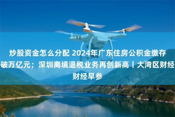 炒股资金怎么分配 2024年广东住房公积金缴存余额破万亿元；深圳离境退税业务再创新高丨大湾区财经早参